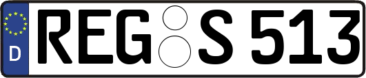 REG-S513