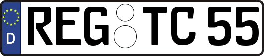 REG-TC55