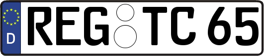 REG-TC65