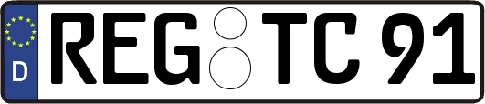 REG-TC91