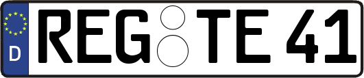 REG-TE41