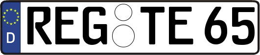 REG-TE65