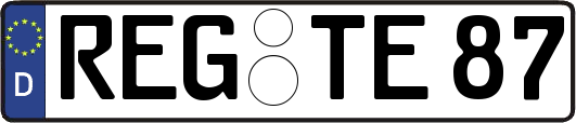 REG-TE87