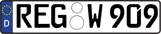 REG-W909