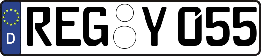 REG-Y055