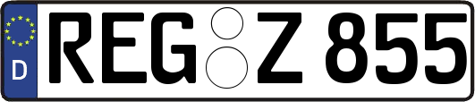 REG-Z855