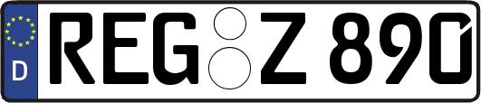 REG-Z890