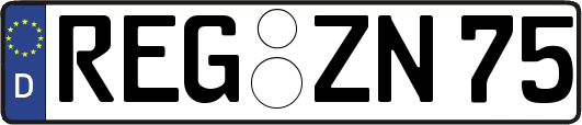 REG-ZN75