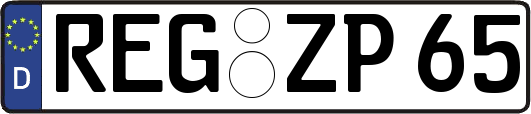 REG-ZP65