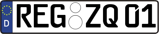 REG-ZQ01