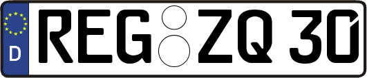 REG-ZQ30