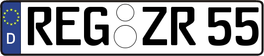 REG-ZR55
