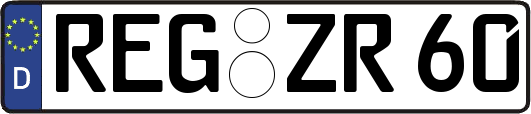 REG-ZR60