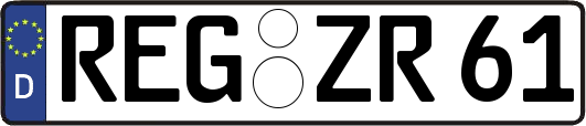 REG-ZR61