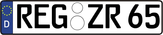 REG-ZR65
