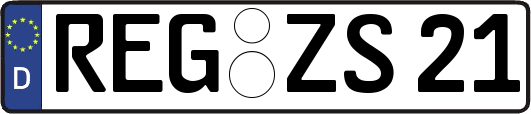 REG-ZS21