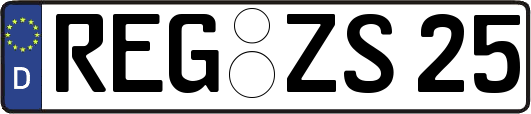 REG-ZS25