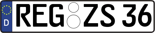 REG-ZS36