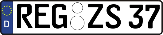 REG-ZS37