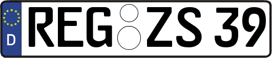 REG-ZS39