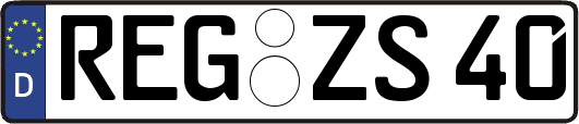 REG-ZS40
