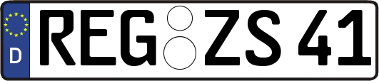 REG-ZS41