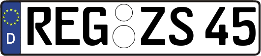REG-ZS45