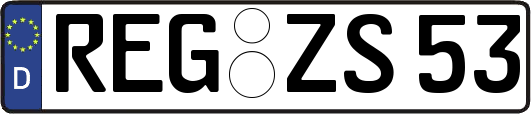 REG-ZS53