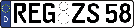 REG-ZS58