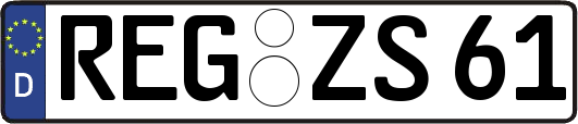 REG-ZS61