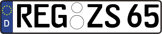 REG-ZS65