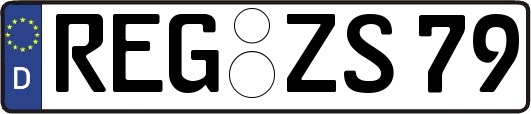 REG-ZS79