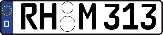 RH-M313