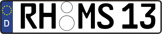 RH-MS13