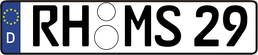 RH-MS29