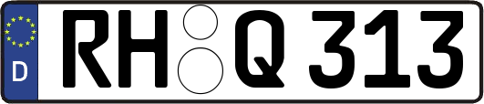 RH-Q313