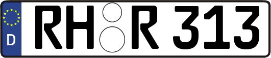 RH-R313