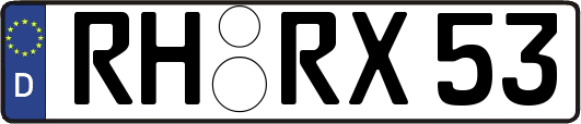 RH-RX53
