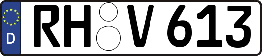 RH-V613