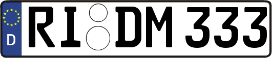 RI-DM333