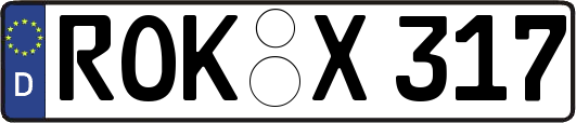 ROK-X317