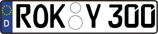 ROK-Y300