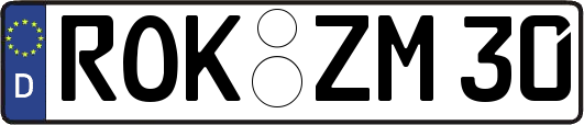 ROK-ZM30