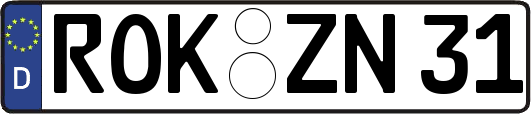 ROK-ZN31