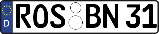 ROS-BN31