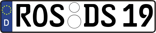 ROS-DS19