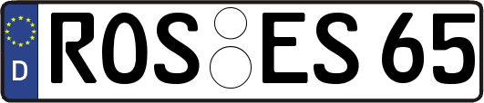 ROS-ES65