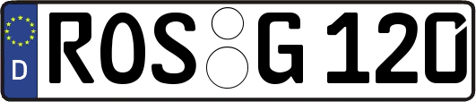 ROS-G120