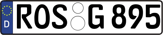 ROS-G895