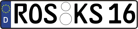 ROS-KS16